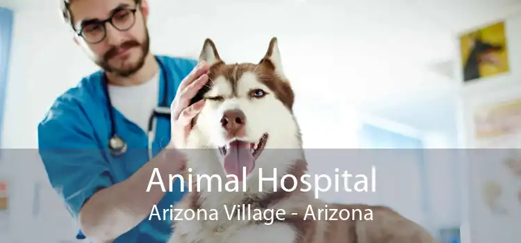 Animal Hospital Arizona Village - Arizona