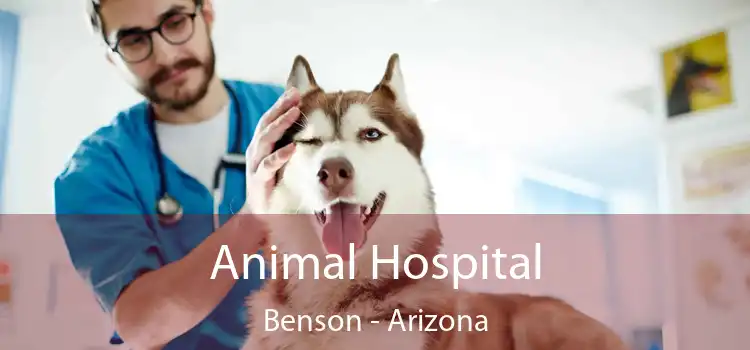 Animal Hospital Benson - Arizona