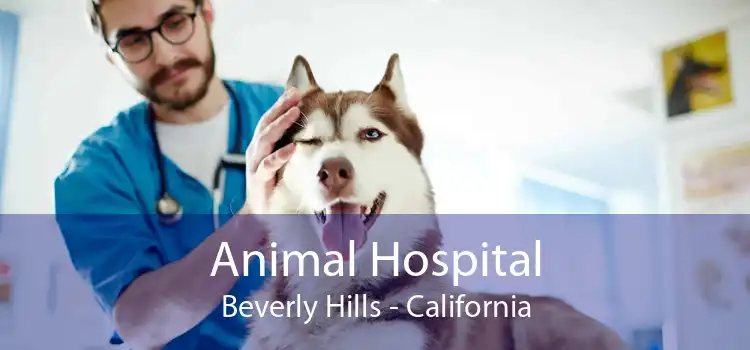 Animal Hospital Beverly Hills - California