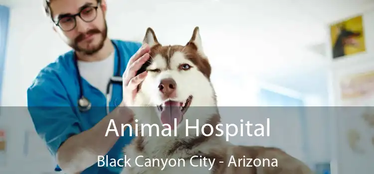 Animal Hospital Black Canyon City - Arizona