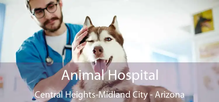Animal Hospital Central Heights-Midland City - Arizona