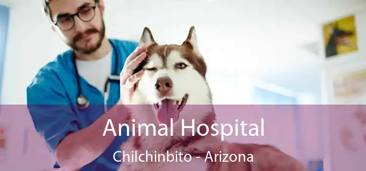 Animal Hospital Chilchinbito - Arizona