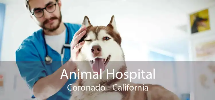 Animal Hospital Coronado - California