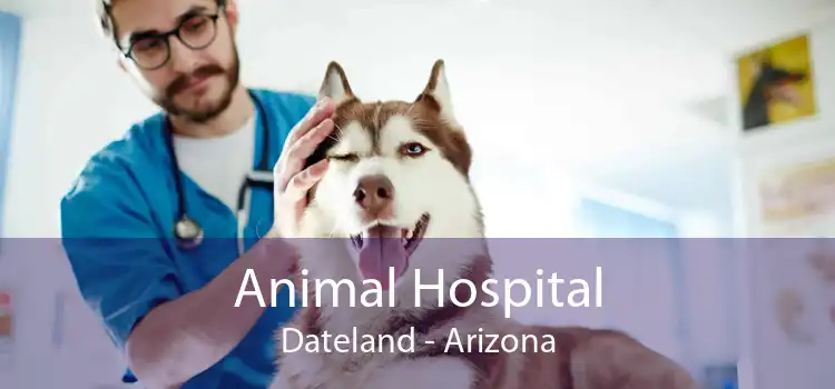 Animal Hospital Dateland - Arizona