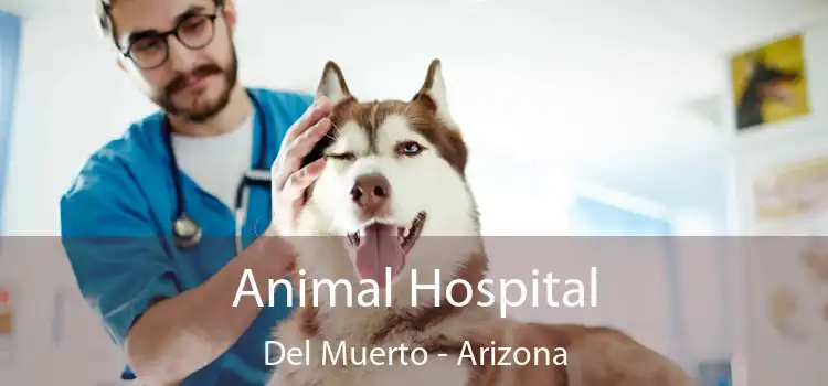 Animal Hospital Del Muerto - Arizona
