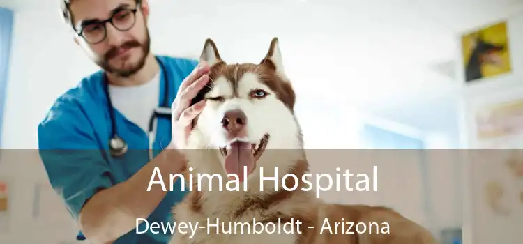 Animal Hospital Dewey-Humboldt - Arizona