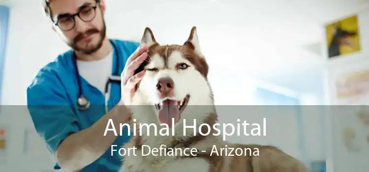 Animal Hospital Fort Defiance - Arizona