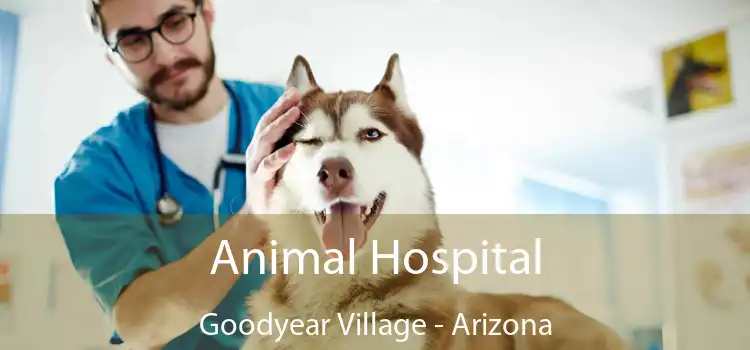 Animal Hospital Goodyear Village - Arizona