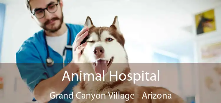 Animal Hospital Grand Canyon Village - Arizona