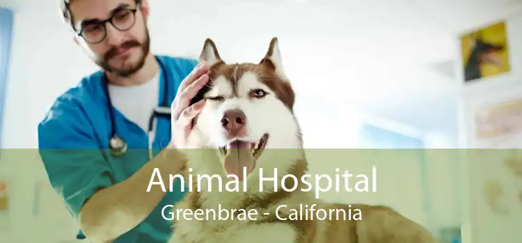 Animal Hospital Greenbrae - California