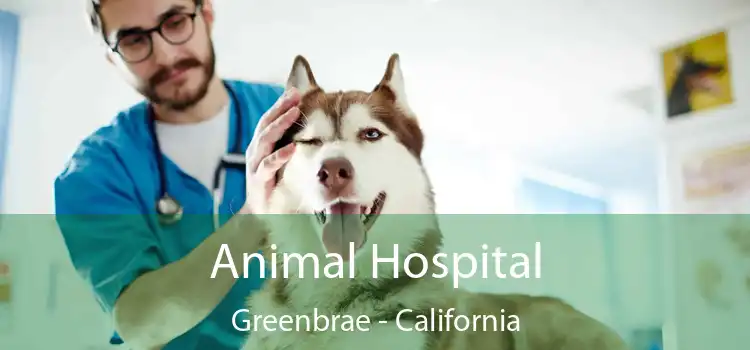 Animal Hospital Greenbrae - California
