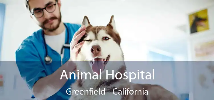 Animal Hospital Greenfield - California