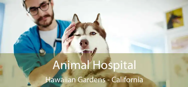 Animal Hospital Hawaiian Gardens - California