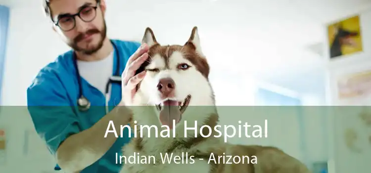 Animal Hospital Indian Wells - Arizona