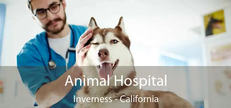 Animal Hospital Inverness - California