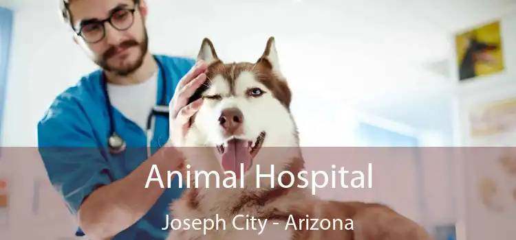 Animal Hospital Joseph City - Arizona