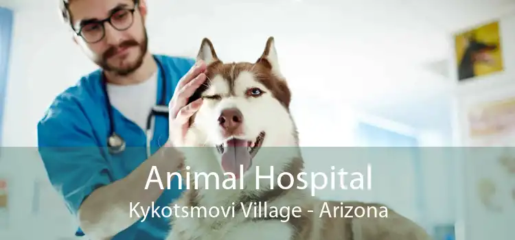 Animal Hospital Kykotsmovi Village - Arizona