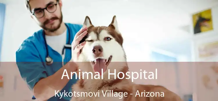 Animal Hospital Kykotsmovi Village - Arizona