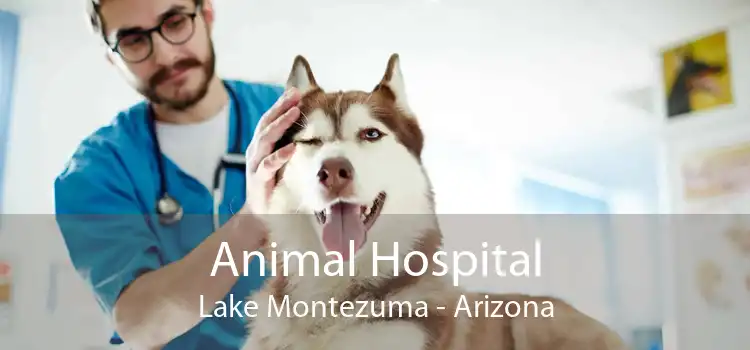 Animal Hospital Lake Montezuma - Arizona