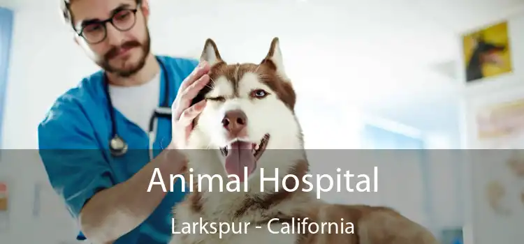 Animal Hospital Larkspur - California