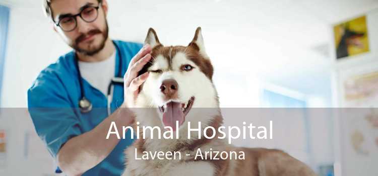 Animal Hospital Laveen - Arizona