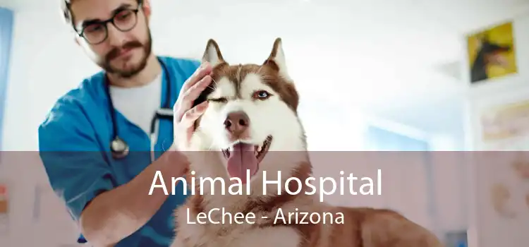 Animal Hospital LeChee - Arizona