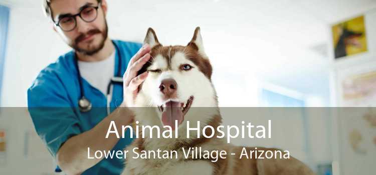Animal Hospital Lower Santan Village - Arizona