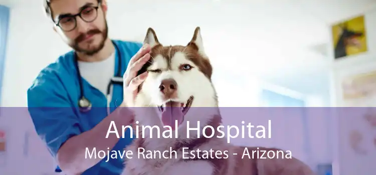 Animal Hospital Mojave Ranch Estates - Arizona