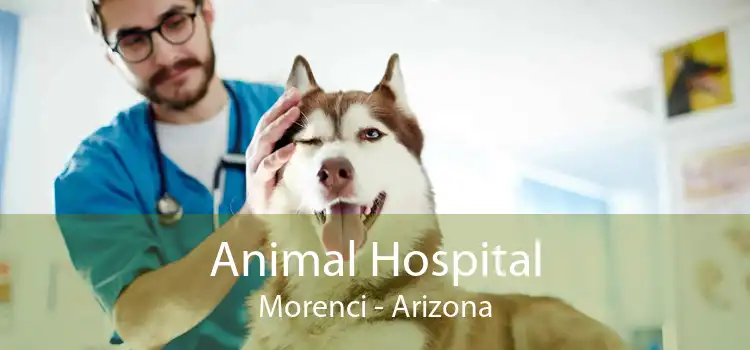 Animal Hospital Morenci - Arizona