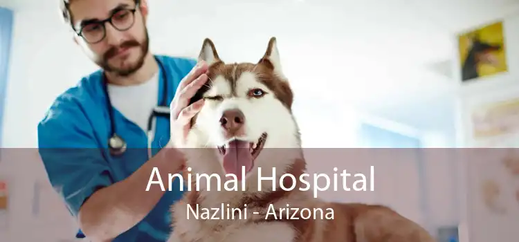 Animal Hospital Nazlini - Arizona