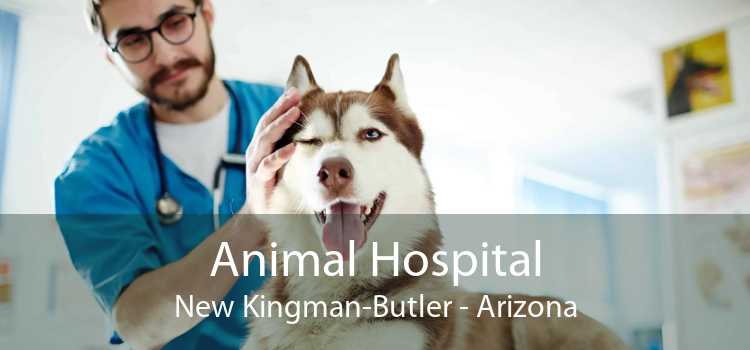 Animal Hospital New Kingman-Butler - Arizona