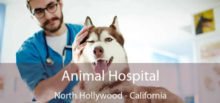 Animal Hospital North Hollywood - California