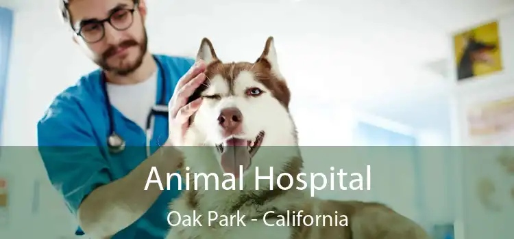 Animal Hospital Oak Park - California