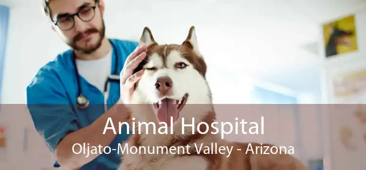 Animal Hospital Oljato-Monument Valley - Arizona