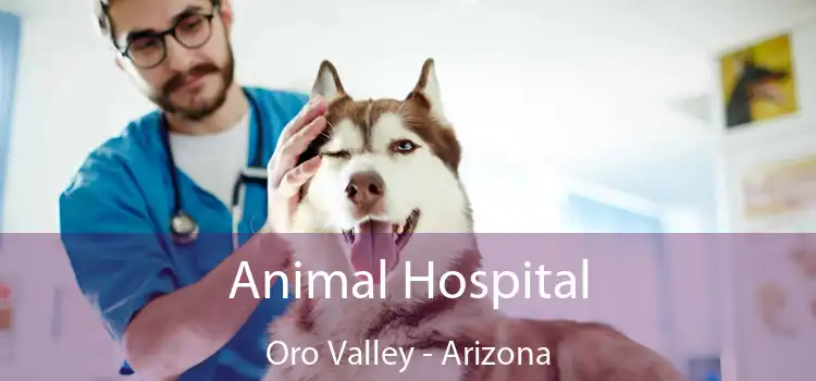 Animal Hospital Oro Valley - Arizona