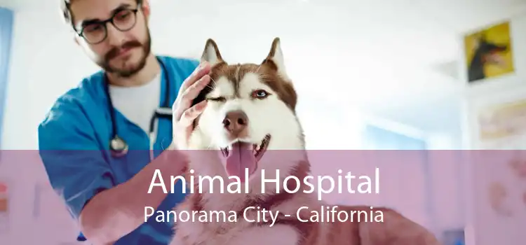 Animal Hospital Panorama City - California