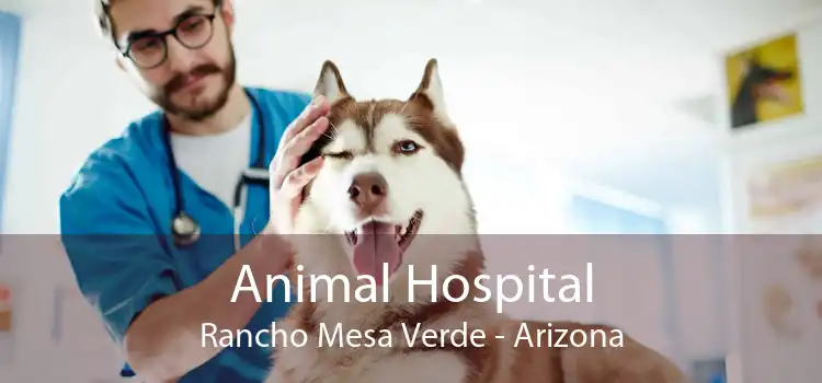 Animal Hospital Rancho Mesa Verde - Arizona