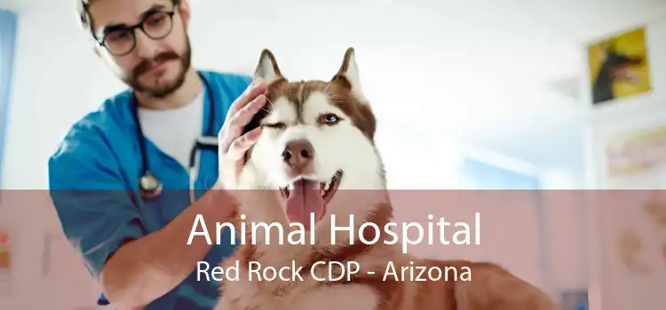 Animal Hospital Red Rock CDP - Arizona