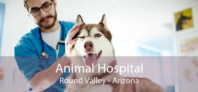 Animal Hospital Round Valley - Arizona