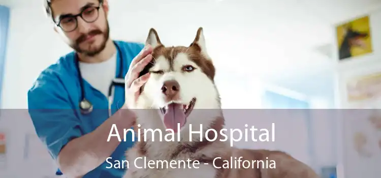 Animal Hospital San Clemente - California