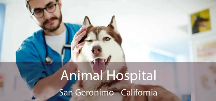 Animal Hospital San Geronimo - California