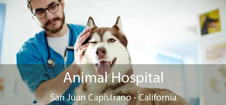 Animal Hospital San Juan Capistrano - California