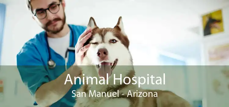 Animal Hospital San Manuel - Arizona