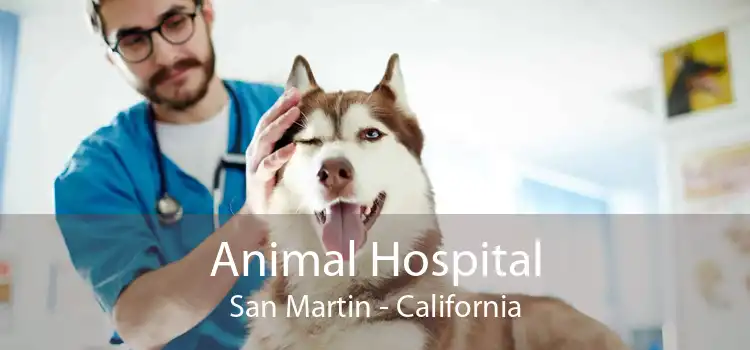 Animal Hospital San Martin - California