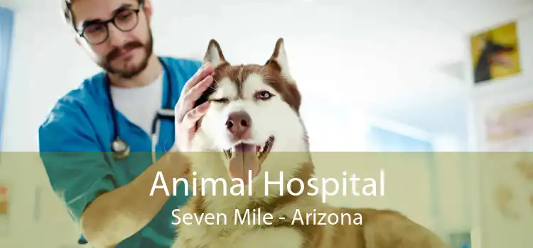 Animal Hospital Seven Mile - Arizona