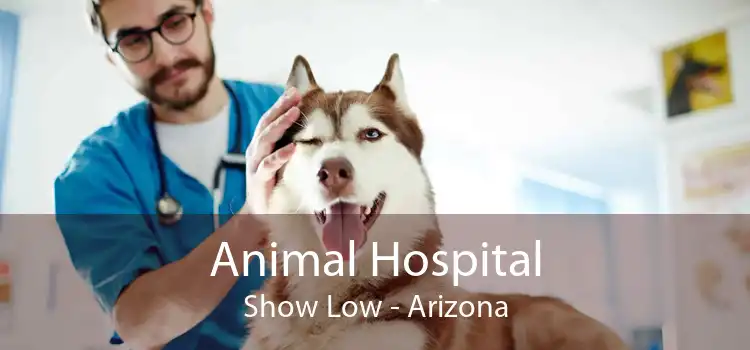 Animal Hospital Show Low - Arizona