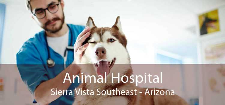 Animal Hospital Sierra Vista Southeast - Arizona