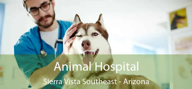 Animal Hospital Sierra Vista Southeast - Arizona