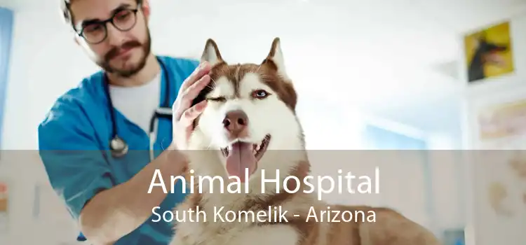 Animal Hospital South Komelik - Arizona