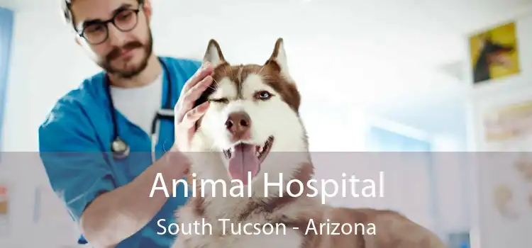 Animal Hospital South Tucson - Arizona
